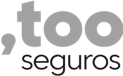 Logo da Too seguros
